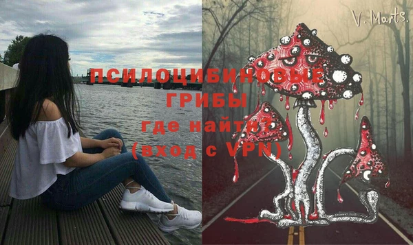 не бодяженный Белокуриха