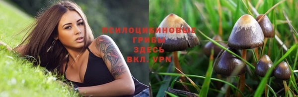 не бодяженный Белокуриха