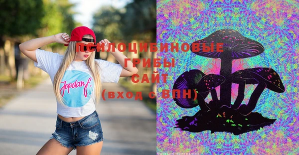 крисы Гусь-Хрустальный