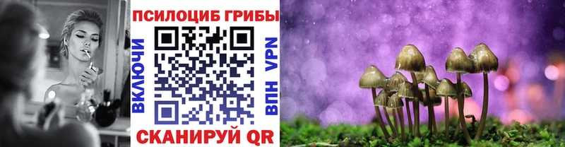 площадка официальный сайт  Верхний Тагил  Псилоцибиновые грибы MAGIC MUSHROOMS 